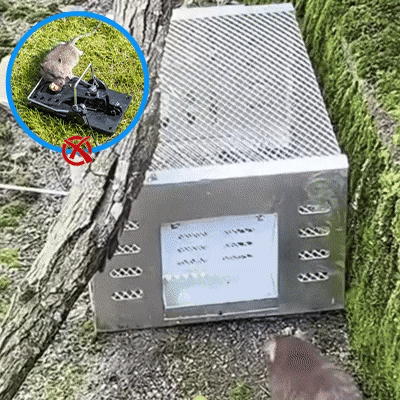 Piège à souris automatique à plusieurs prises et à entrée silencieuse