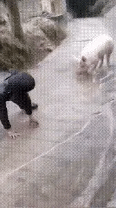 Non-Slip Winter Ice Gripper Shoe Covers