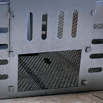 Piège à souris automatique à plusieurs prises et à entrée silencieuse