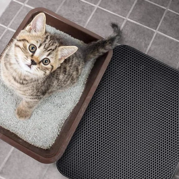 Tapis antidérapant double couche pour bac à litière pour chat