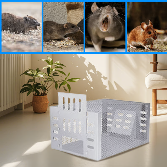 Piège à souris automatique à plusieurs prises et à entrée silencieuse