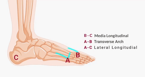 Women’s Breathable Orthopaedic Everyday Trainers